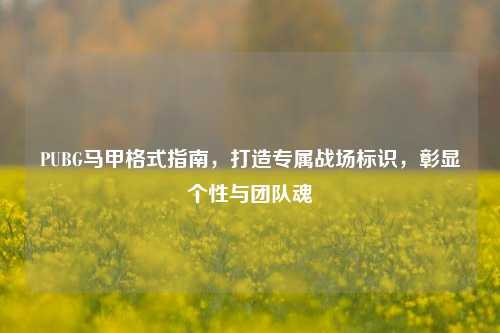 PUBG马甲格式指南,打造专属战场标识,彰显个性与团队魂