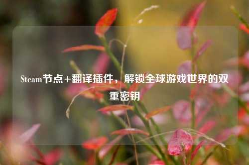 Steam节点+翻译插件,解锁全球游戏世界的双重密钥