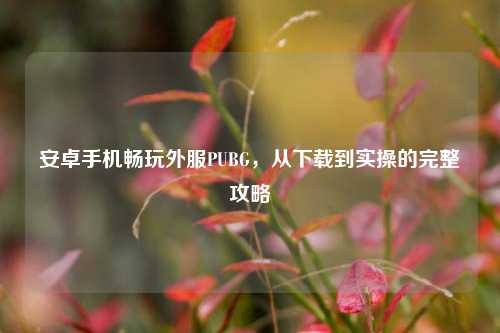 安卓手机畅玩外服PUBG,从下载到实操的完整攻略