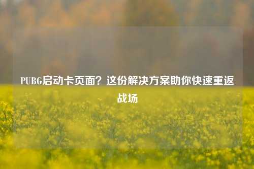 PUBG启动卡页面?这份解决方案助你快速重返战场