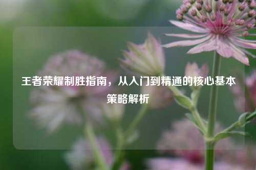 王者荣耀制胜指南,从入门到精通的核心基本策略解析