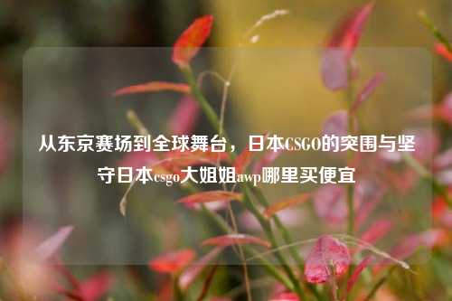 从东京赛场到全球舞台,日本CSGO的突围与坚守日本csgo大姐姐awp哪里买便宜