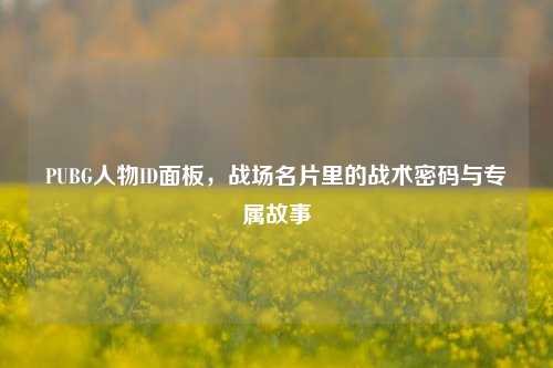 PUBG人物ID面板,战场名片里的战术密码与专属故事