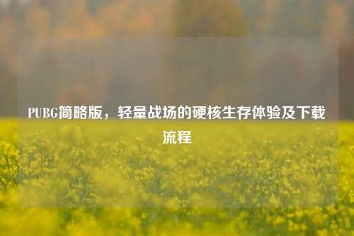 PUBG简略版,轻量战场的硬核生存体验及下载流程