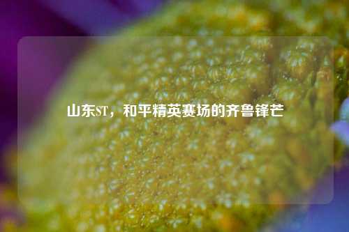 山东ST,和平精英赛场的齐鲁锋芒