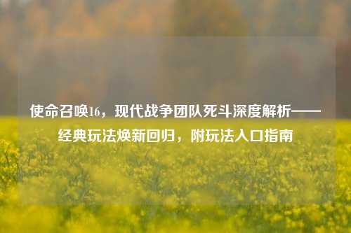 使命召唤16,现代战争团队死斗深度解析——经典玩法焕新回归,附玩法入口指南