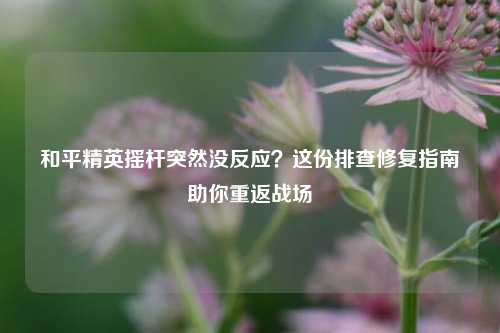 和平精英摇杆突然没反应?这份排查修复指南助你重返战场