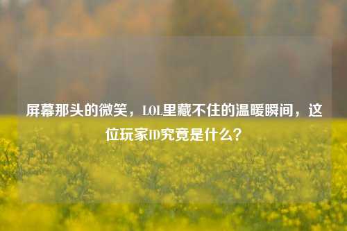 屏幕那头的微笑,LOL里藏不住的温暖瞬间,这位玩家ID究竟是什么?