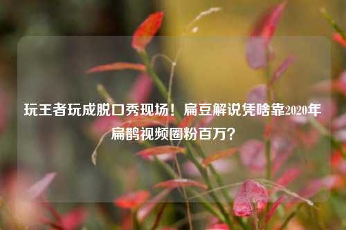 玩王者玩成脱口秀现场!扁豆解说凭啥靠2020年扁鹊视频圈粉百万?