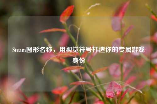 Steam图形名称,用视觉符号打造你的专属游戏身份