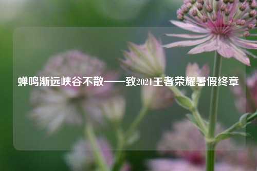 蝉鸣渐远峡谷不散——致2021王者荣耀暑假终章