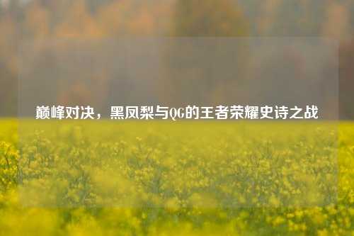 巅峰对决,黑凤梨与QG的王者荣耀史诗之战
