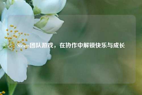 Steam团队游戏,在协作中解锁快乐与成长