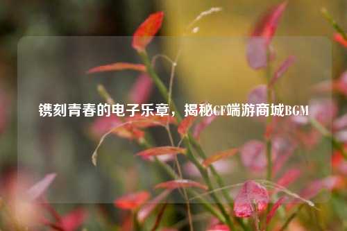 镌刻青春的电子乐章,揭秘CF端游商城BGM