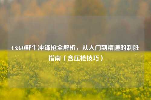 CS:GO野牛冲锋枪全解析,从入门到精通的制胜指南(含压枪技巧)