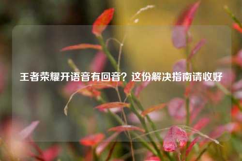 王者荣耀开语音有回音?这份解决指南请收好