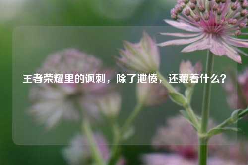 王者荣耀里的讽刺,除了泄愤,还藏着什么?