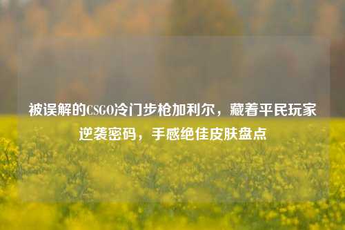 被误解的CSGO冷门步枪加利尔,藏着平民玩家逆袭密码,手感绝佳皮肤盘点