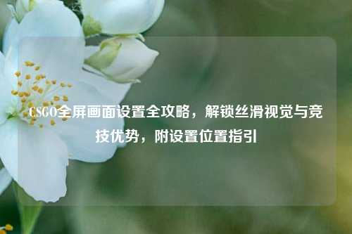 CSGO全屏画面设置全攻略,解锁丝滑视觉与竞技优势,附设置位置指引