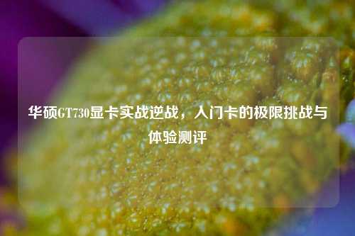 华硕GT730显卡实战逆战,入门卡的极限挑战与体验测评