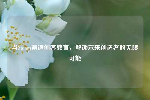 当Steam邂逅创客教育,解锁未来创造者的无限可能