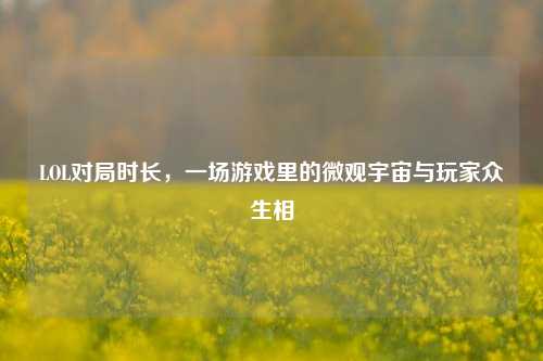 LOL对局时长,一场游戏里的微观宇宙与玩家众生相