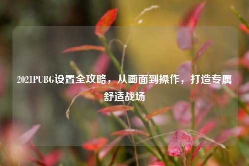 2021PUBG设置全攻略,从画面到操作,打造专属舒适战场