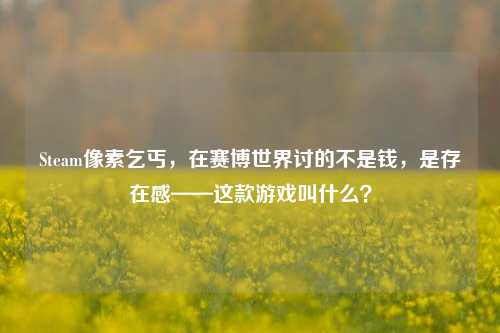 Steam像素乞丐,在赛博世界讨的不是钱,是存在感——这款游戏叫什么?