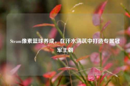 Steam像素篮球养成,在汗水浇筑中打造专属冠军王朝