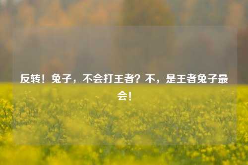 反转!兔子,不会打王者?不,是王者兔子最会!
