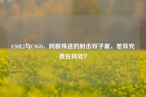 CSOL2与CSGO,同根殊途的射击双子星,差异究竟在何处?