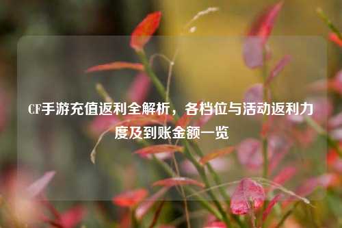 CF手游充值返利全解析,各档位与活动返利力度及到账金额一览