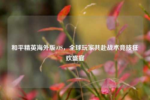 和平精英海外版iOS,全球玩家共赴战术竞技狂欢盛宴