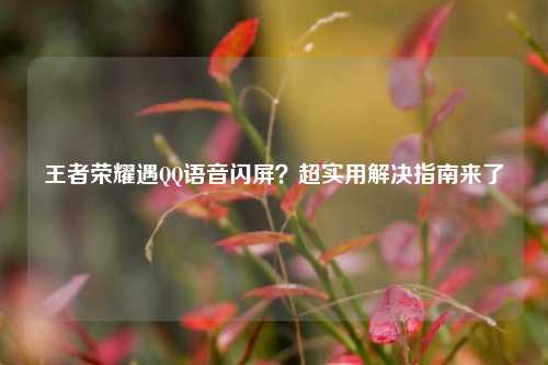 王者荣耀遇 语音闪屏?超实用解决指南来了