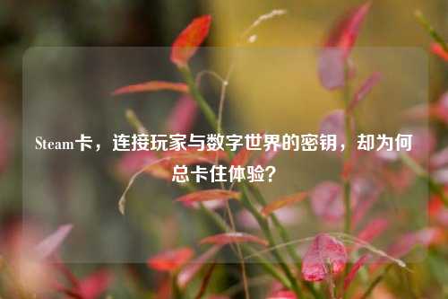 Steam卡,连接玩家与数字世界的密钥,却为何总卡住体验?