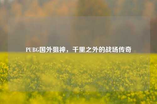 PUBG国外狙神,千里之外的战场传奇