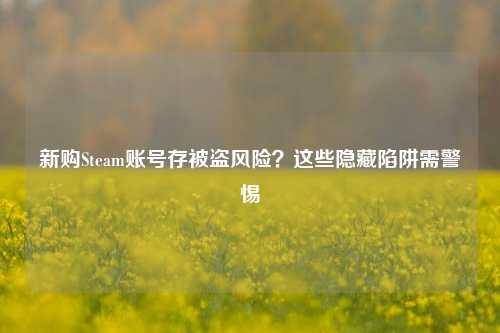 新购Steam账号存被盗风险?这些隐藏陷阱需警惕