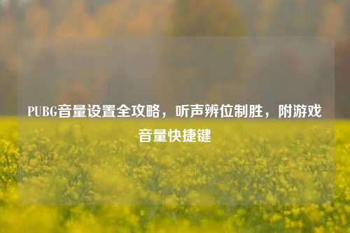 PUBG音量设置全攻略,听声辨位制胜,附游戏音量快捷键