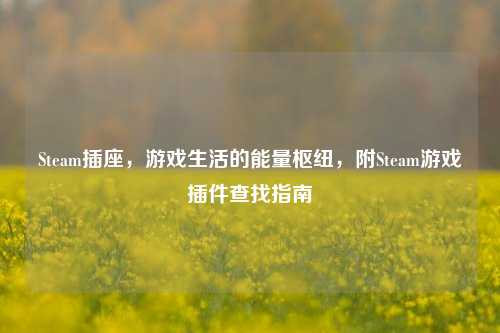 Steam插座,游戏生活的能量枢纽,附Steam游戏插件查找指南