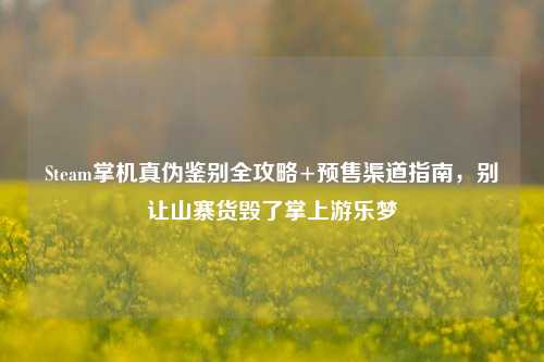Steam掌机真伪鉴别全攻略+预售渠道指南,别让山寨货毁了掌上游乐梦
