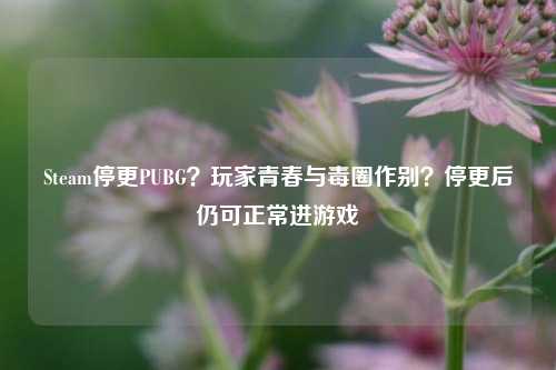 Steam停更PUBG?玩家青春与毒圈作别?停更后仍可正常进游戏