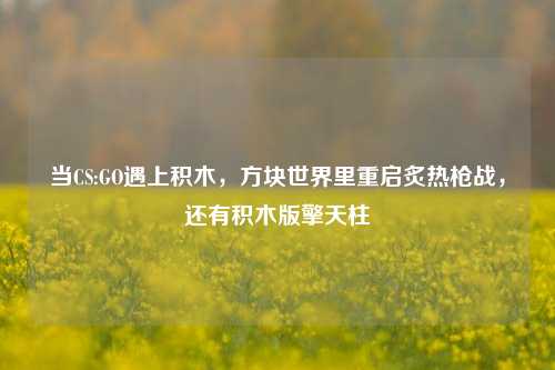当CS:GO遇上积木,方块世界里重启炙热枪战,还有积木版擎天柱