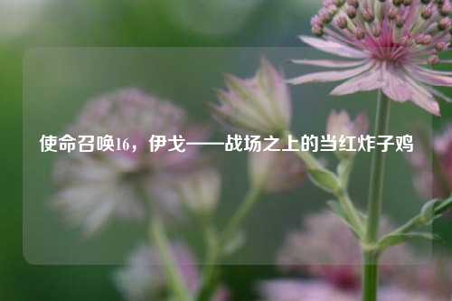 使命召唤16,伊戈——战场之上的当红炸子鸡