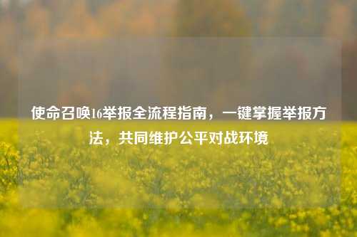 使命召唤16举报全流程指南,一键掌握举报 ,共同维护公平对战环境