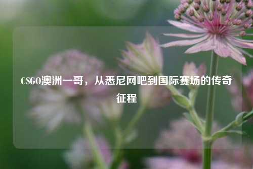 CSGO澳洲一哥,从悉尼网吧到国际赛场的传奇征程