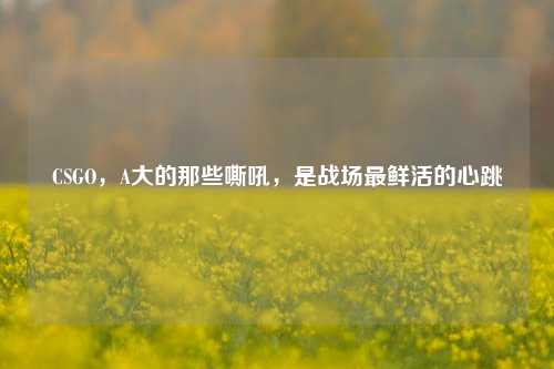 CSGO,A大的那些嘶吼,是战场最鲜活的心跳