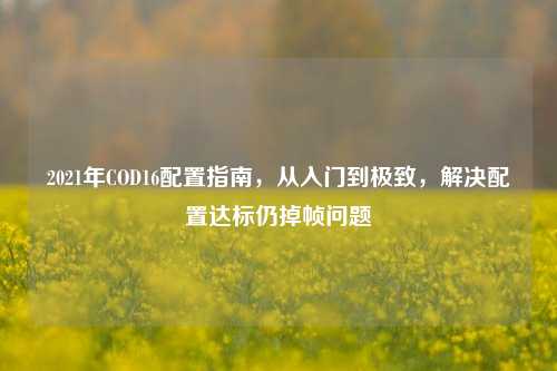 2021年COD16配置指南,从入门到极致,解决配置达标仍掉帧问题