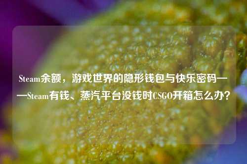 Steam余额,游戏世界的隐形钱包与快乐密码——Steam有钱、蒸汽平台没钱时CSGO开箱怎么办?