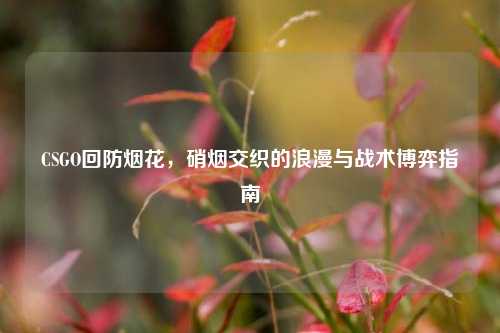 CSGO回防烟花,硝烟交织的浪漫与战术博弈指南