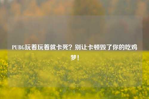PUBG玩着玩着就卡死?别让卡顿毁了你的吃鸡梦!